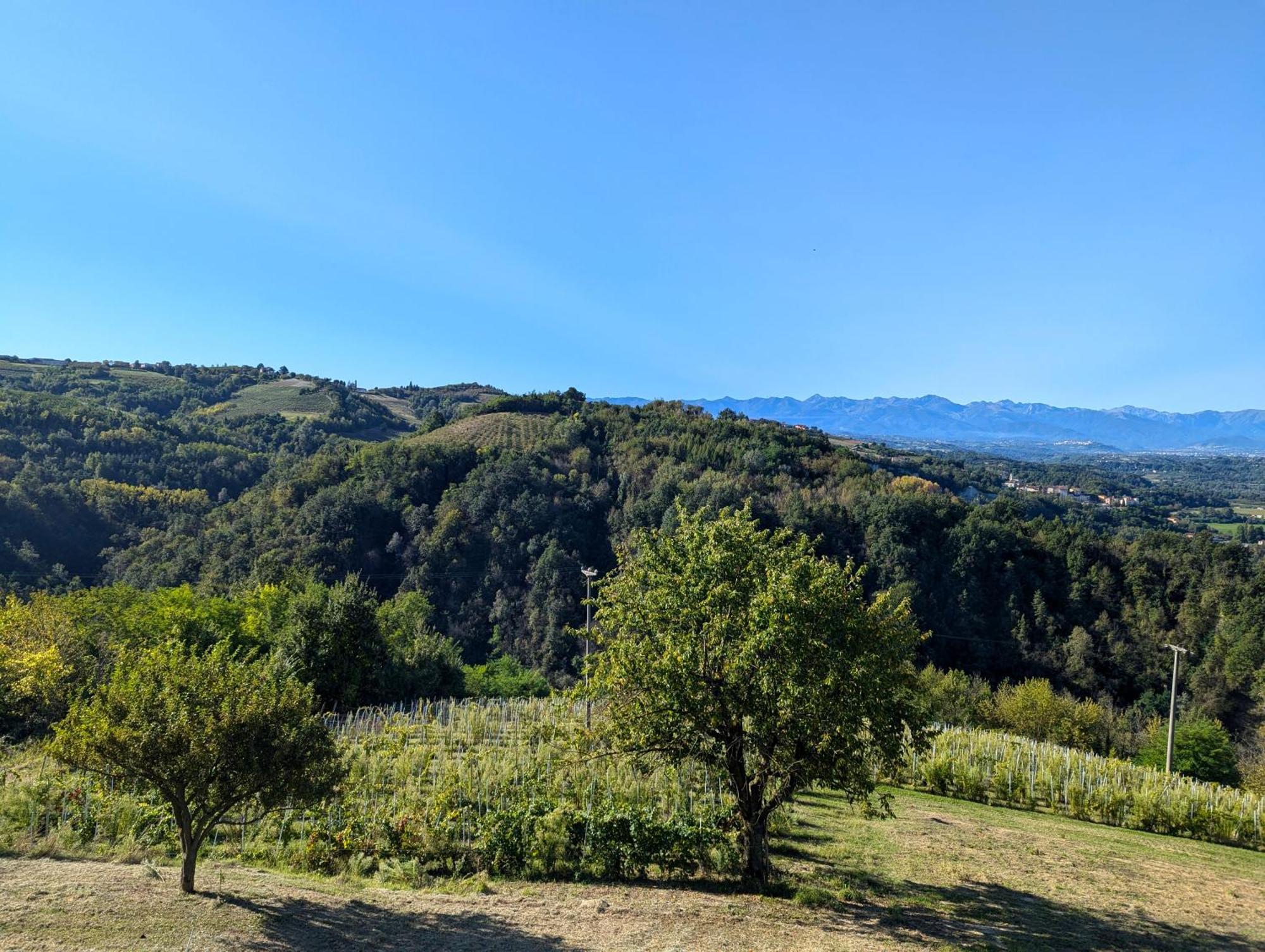 Villa Casa Felice Farigliano Exterior foto